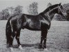 stallion Sekurit 3391 (Mecklenburg, 1974, from Sekt 3316)