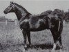 stallion Direx 3257 (Noble Warmblood, 1966, from Duell II 2467)