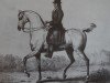 stallion Herodot xx (Thoroughbred, 1794, from Morwick Ball xx)