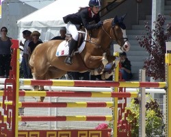 jumper Milford de Grangues (French Pony, 2000, from Shining Starr Aristo)