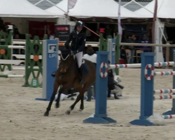 Springpferd Promesse D'Autan (Selle Français, 2003, von Quatoubet du Rouet)