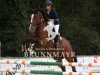 jumper Casino Queen (Hanoverian, 2016, from Casino Berlin OLD)