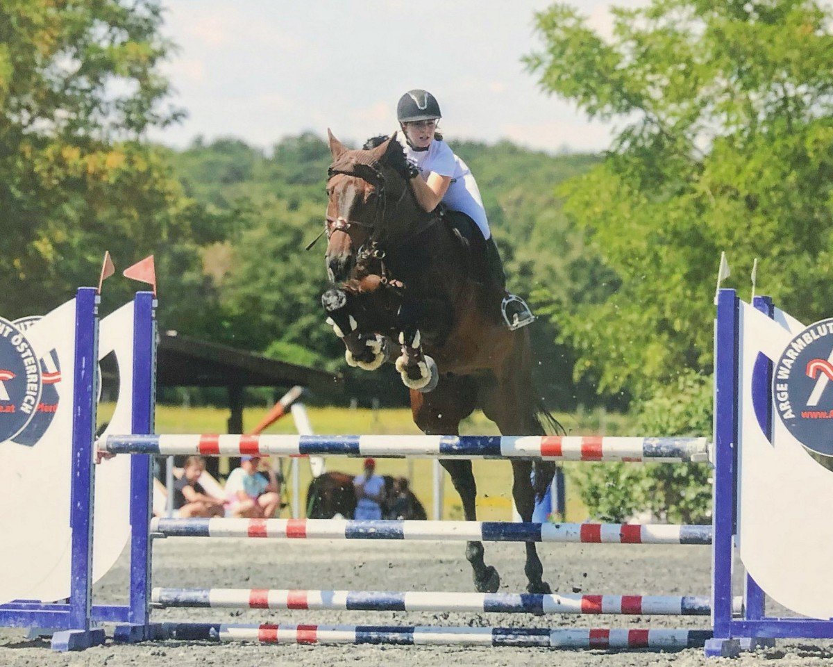 Dressurpferd Lotos (Polnisches Warmblut, 2013, von Lentini)