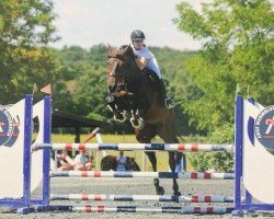 dressage horse Lotos (Polish Warmblood, 2013, from Lentini)