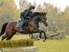 dressage horse Mythenpulsar (Trakehner, 2017, from Asagao xx)