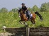 jumper Scarlet Princess (KWPN (Royal Dutch Sporthorse), 2006)