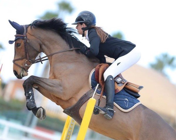 jumper Iris Fonfreide (Selle Français, 2018, from Cornet Obolensky)