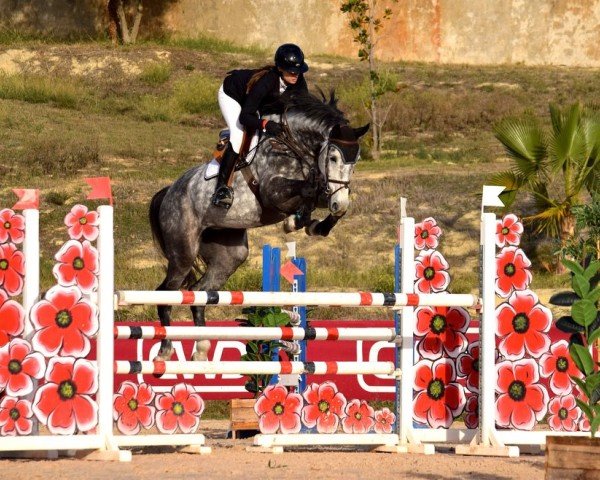 jumper Cograna PS (Oldenburg, 2017, from Cornet Obolensky)