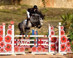 Springpferd Cograna PS (Oldenburger, 2017, von Cornet Obolensky)