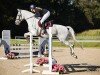 jumper Laviva L (German Sport Horse, 2010, from Laspari)