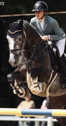 jumper Hannah 73 (Hanoverian, 2018, from Hickstead White)