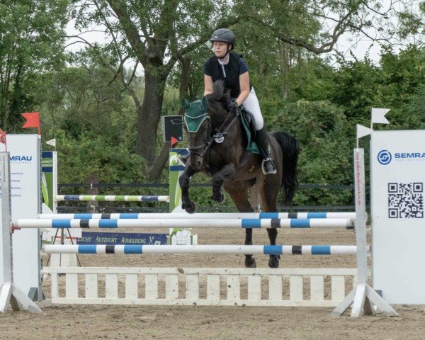 jumper Cabrina de la cour-s (KWPN (Royal Dutch Sporthorse), 2007, from Tangelo van de Zuuthoeve)