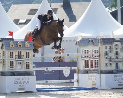 Springpferd Elinka de Riverland (Selle Français, 2014, von Hh Copin van de Broy)