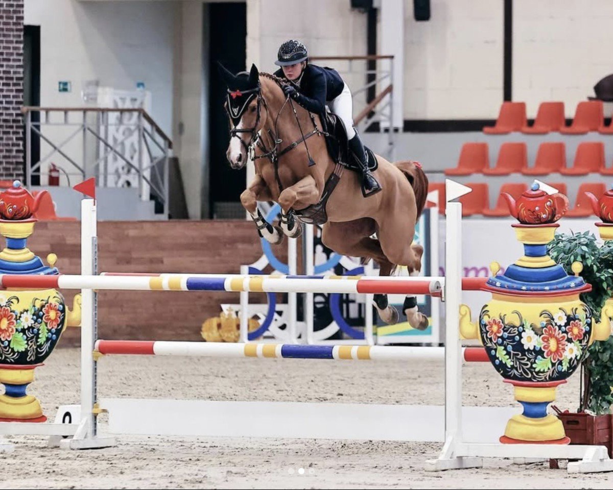 Springpferd Orange Olga (Deutsches Sportpferd, 2017, von Ogano Sitte)