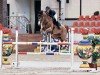 jumper Orange Olga (German Sport Horse, 2017, from Ogano Sitte)