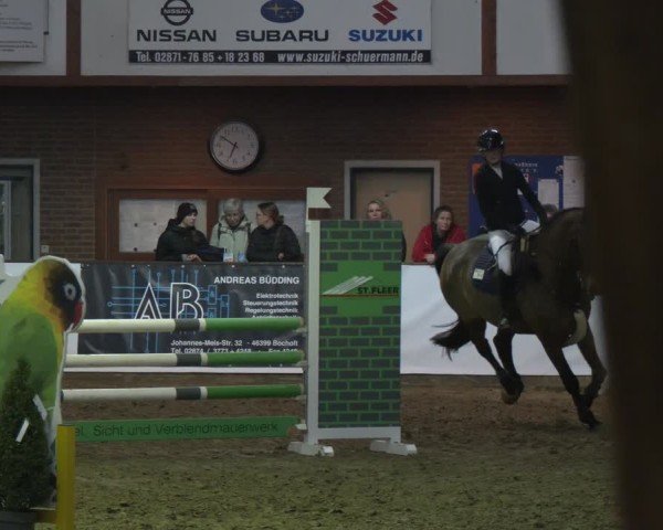 Reitturnier Barlo-Bocholt 2025