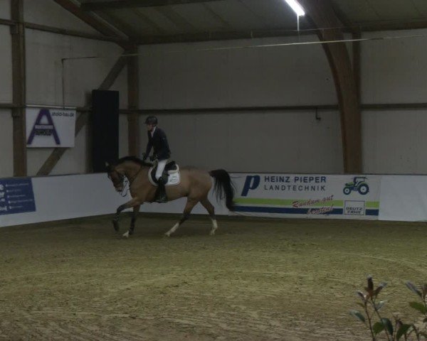 Reitturnier Barlo-Bocholt 2025