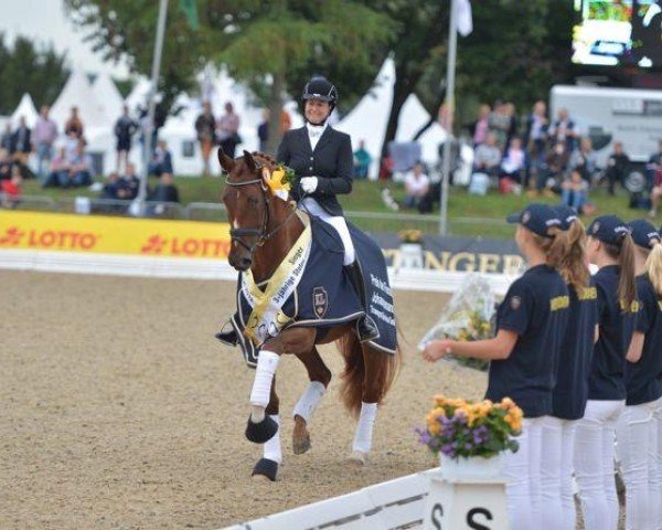 dressage horse Donna Lisa 3 (Hanoverian, 2009, from Dancier)