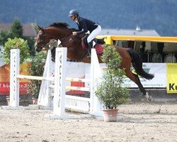 jumper Reya (Austrian Warmblood, 2017, from Lord Perry W)