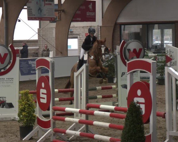 Reitturnier Barlo-Bocholt 2025