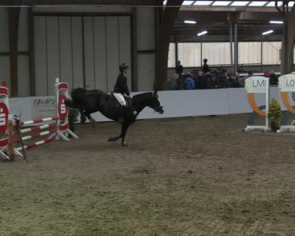 Reitturnier Barlo-Bocholt 2025