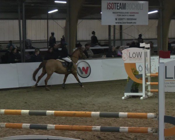 Reitturnier Barlo-Bocholt 2025