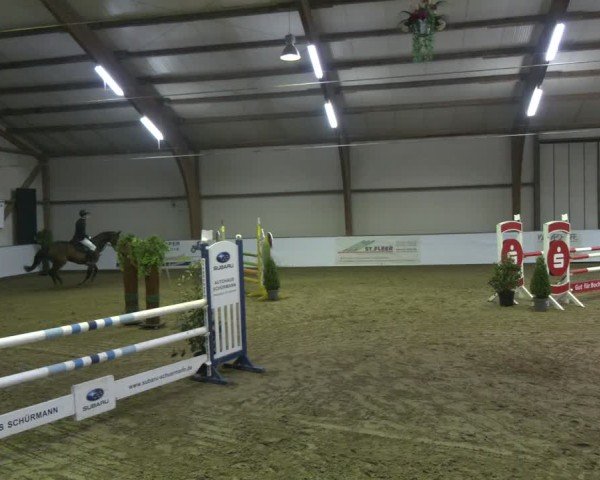 Reitturnier Barlo-Bocholt 2025