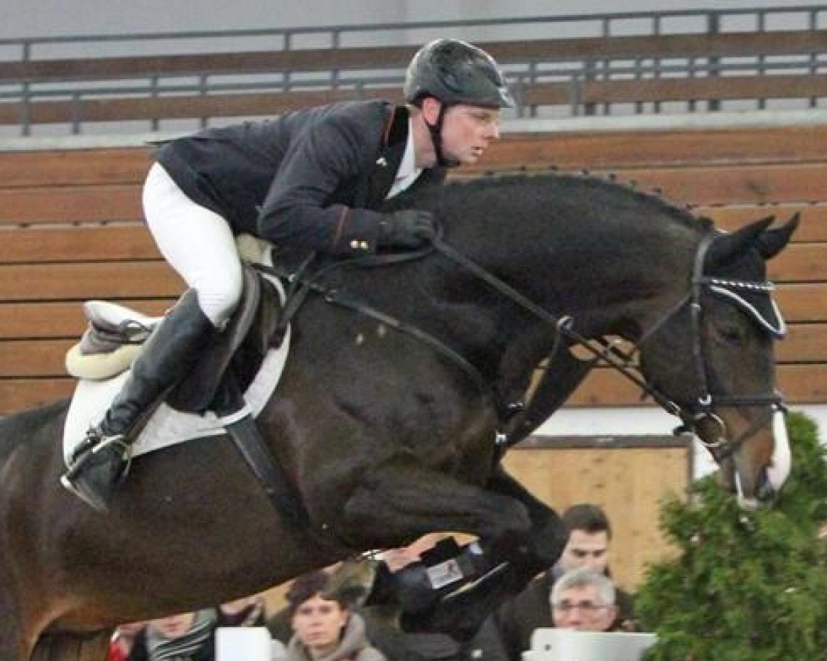 Deckhengst For Contest (Westfale, 2006, von For Pleasure)