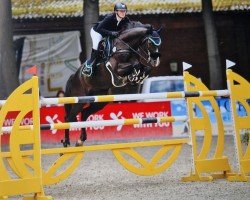 jumper Caligula Ze (Oldenburg show jumper, 2013, from Tannenhof's Chambretto Gt)