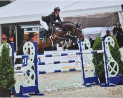 jumper Diego 605 (Holsteiner, 2016, from Diarado)