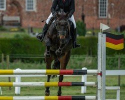 jumper Florenzia 19 (Hanoverian, 2017, from Florenz 71)