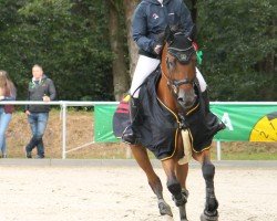 jumper Luckys Please Jump (Hanoverian, 2008, from Perigueux)