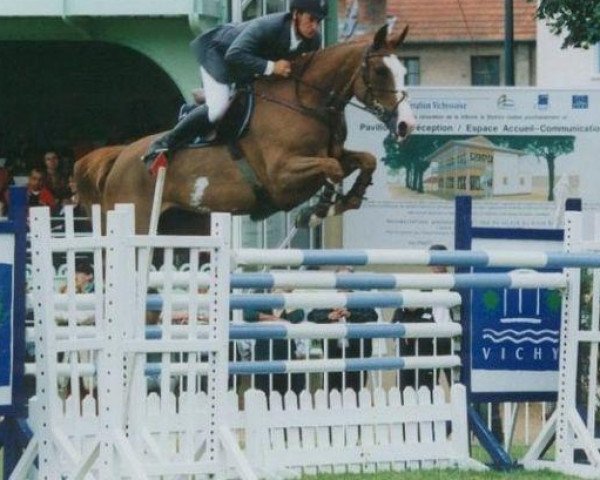Zuchtstute Ialta Sitte (Belgium Sporthorse, 1992, von Avontuur)