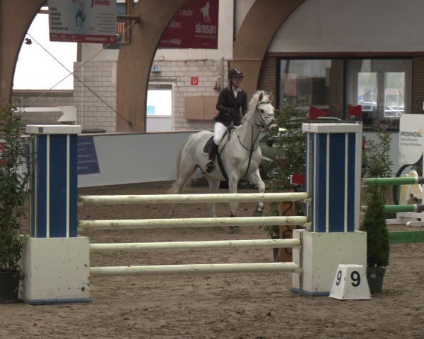 Reitturnier Barlo-Bocholt 2025