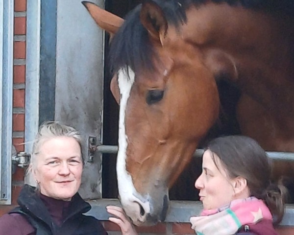 Springpferd Apardi T (Oldenburger, 2021, von Apardi)