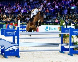 jumper L-Dora van de Zietfort (KWPN (Royal Dutch Sporthorse), 2016, from Eldorado vd Zeshoek Tn)