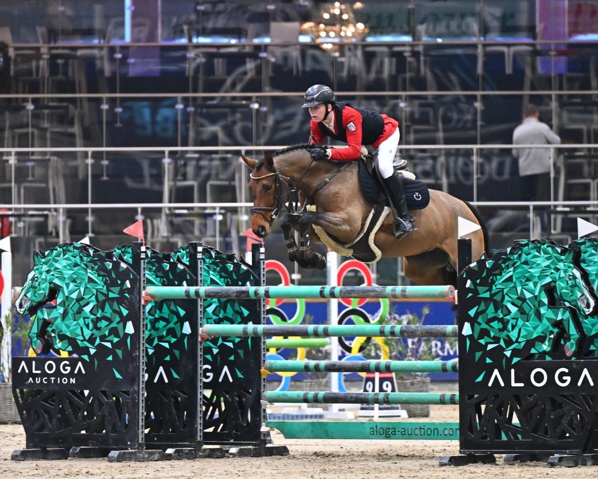 jumper Sabrina 461 (Hanoverian, 2015, from Stakkato)