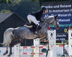 stallion Der Monarch (Trakehner, 2018, from Abdullah)