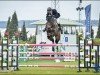 jumper Dorothy 9 (German Sport Horse, 2015, from Diarado's Boy)