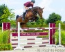 jumper Laguna HX (KWPN (Royal Dutch Sporthorse), 2016, from Cape Coral Rbf Z)