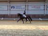 dressage horse It's Quentin (Hanoverian, 2014, from Quaterhall)