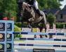 jumper Penelope Jo Lvst (Swedish Warmblood, 2018, from Karmel van de Watering)