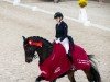 dressage horse Quaterback's Diamond (Hanoverian, 2014, from Quaterback)