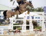 jumper Actiongrace PS (Oldenburg show jumper, 2015, from Action-Breaker)