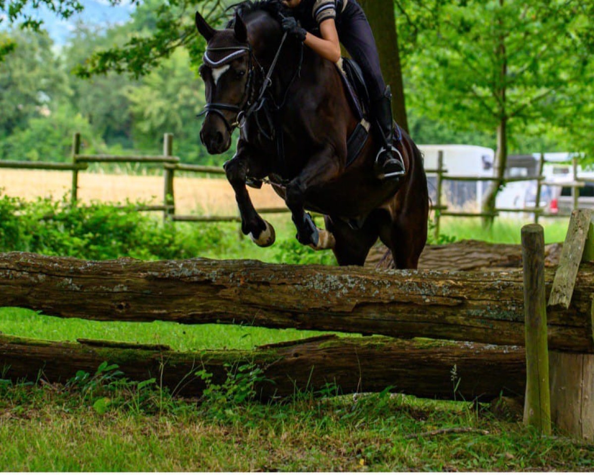 Springpferd Macu Murphy IT (Deutsches Reitpony, 2016, von Magic Cornflakes)