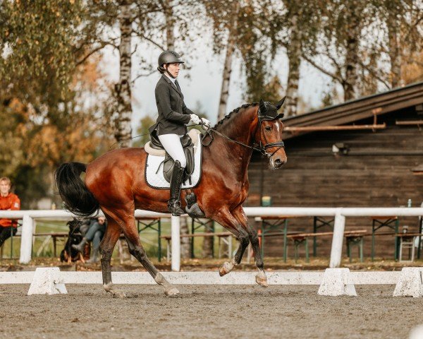 Dressurpferd Smaragd PB (Deutsches Sportpferd, 2017, von Sezuan)