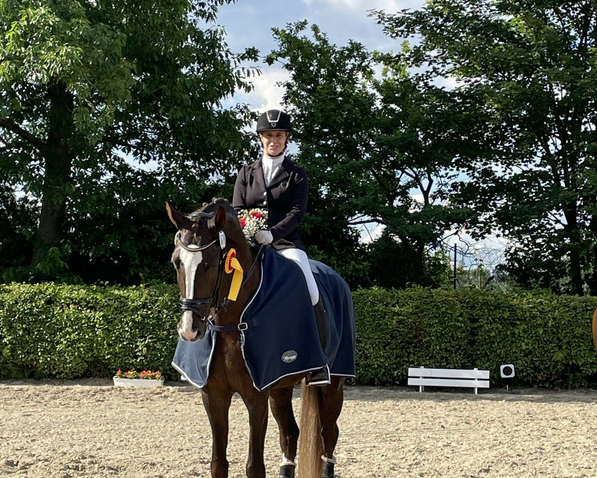 dressage horse Quantissimo de Capri (Hanoverian, 2017, from Quantensprung 3)