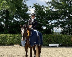 dressage horse Quantissimo de Capri (Hanoverian, 2017, from Quantensprung 3)