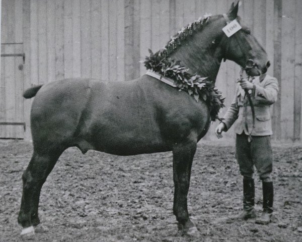 stallion Großfürst II Th 549 (Oldenburg, 1933, from Grusus 3408)