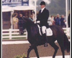 broodmare Kiwi (Danish Warmblood, 1989, from Jet Stream xx)